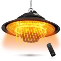 Patio Electric Ceiling Heater