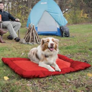 Loft+Wander+Portable+Waterproof+Pet+Bed+-+Large+Chili+Red