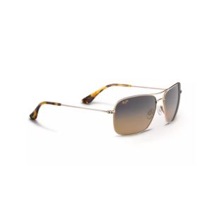 Wiki+Wiki+Polarized+Sunglasses+Gold+Frame+HCL+Bronze+Lens