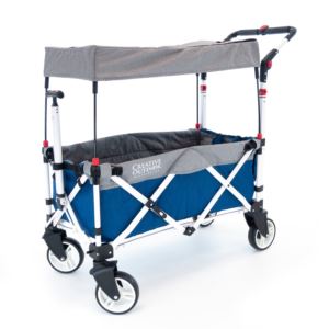 Pack+%26+Push+Compact+Stroller+Wagon+w%2F+Canopy+Blue+%26+Gray