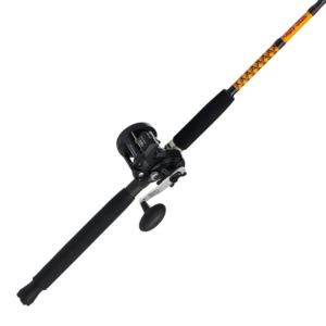 Bigwater+Conventional+Combo+30+Reel+9ft+Light+Rod